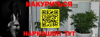 ГАЛЛЮЦИНОГЕННЫЕ ГРИБЫ Берёзовский