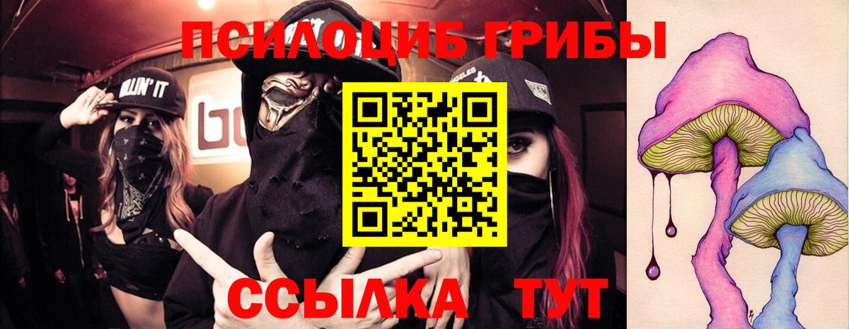 Псилоцибиновые грибы мухоморы  Вход с VPN  где можно купить наркотик  Апрелевка 